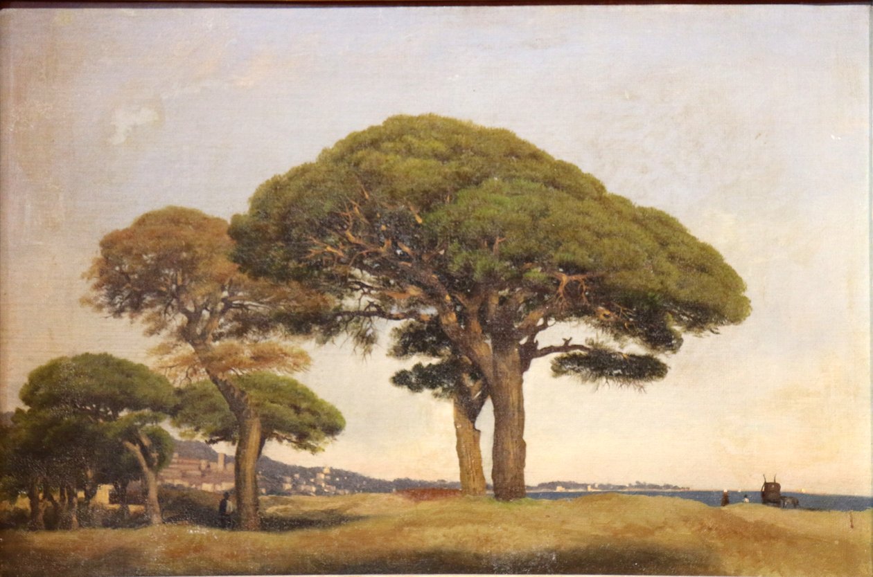 Les pins de la Bocca tekijältä Joseph Contini