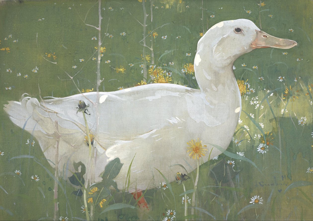 Valkoinen Drake tekijältä Joseph Crawhall
