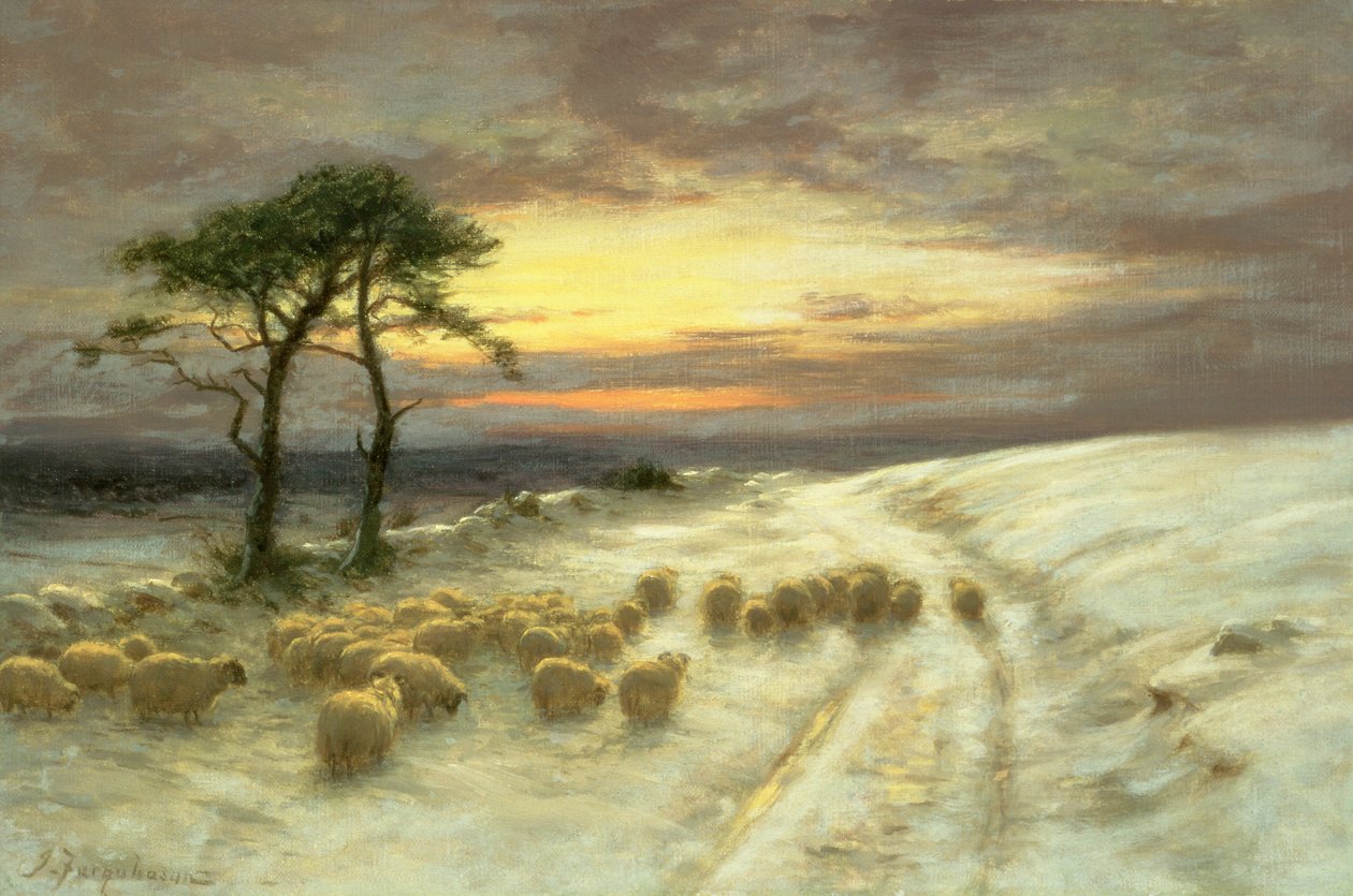 Lampaat lumessa tekijältä Joseph Farquharson