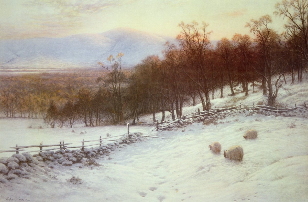 Lumiset kentät lampaita tekijältä Joseph Farquharson