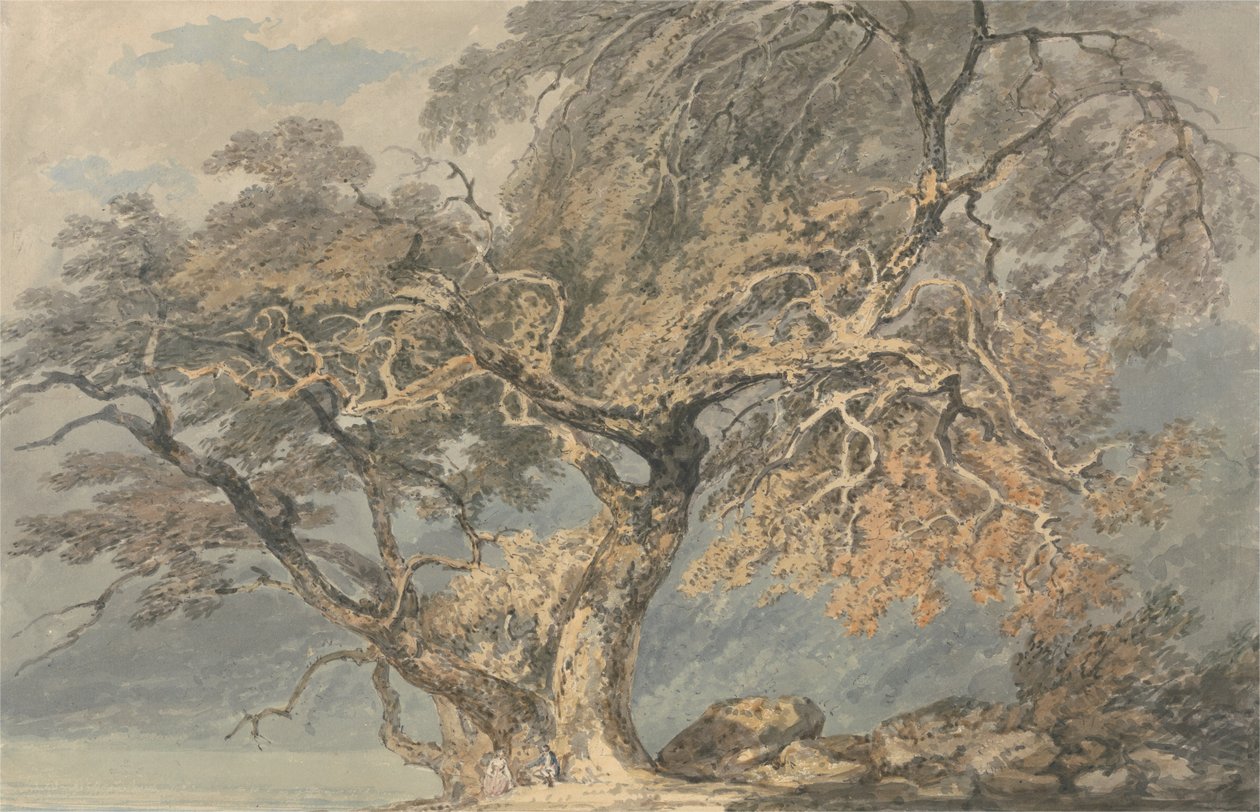 Suuri puu tekijältä Joseph Mallord William Turner