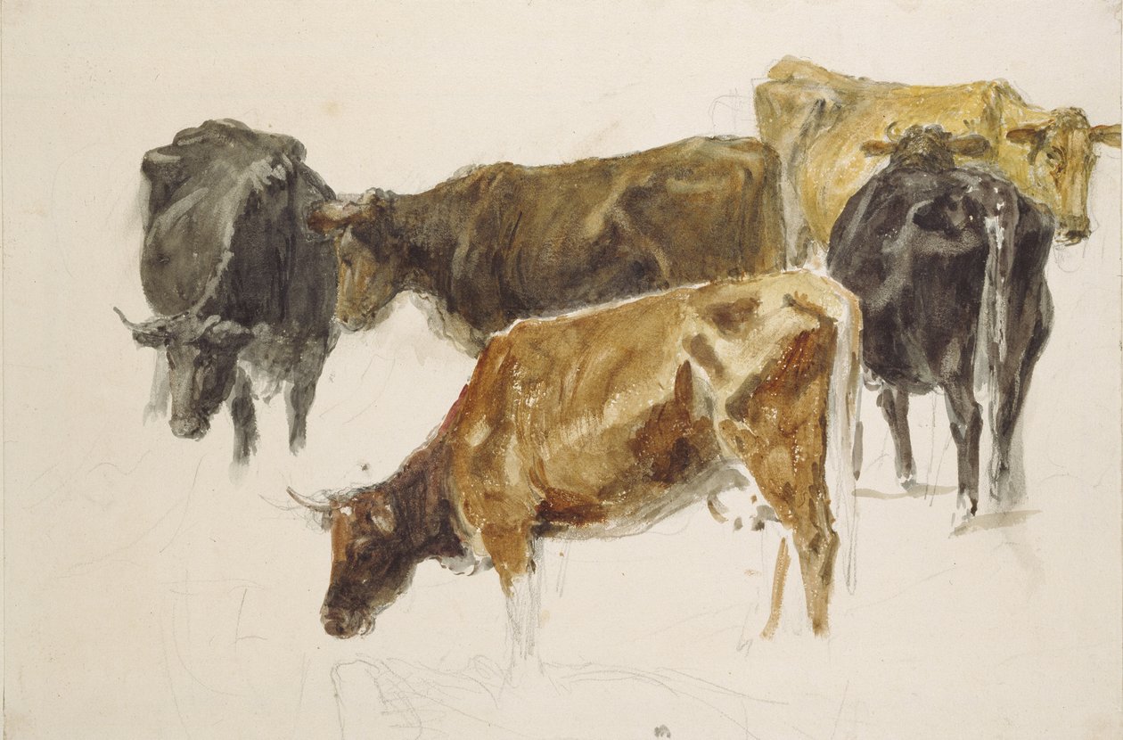 Tutkimus lehmäjoukosta, noin 1801 (akvarelli grafiitilla, hieman raaputettu, vohvelipaperilla). tekijältä Joseph Mallord William Turner