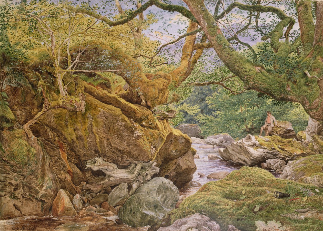 Tutkimus luonnosta: Inveruglas, 1857 tekijältä Joseph Noel Paton