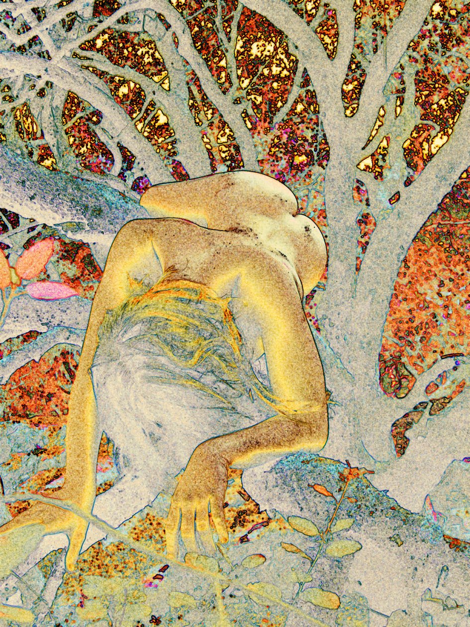 Arbre tekijältä Joseph Angilella Auquier