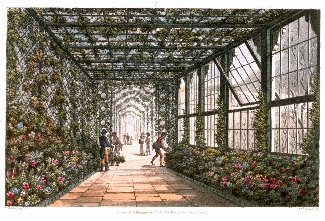 Viherhuoneen käytävä, 1808 tekijältä Joseph Constantine Stadler