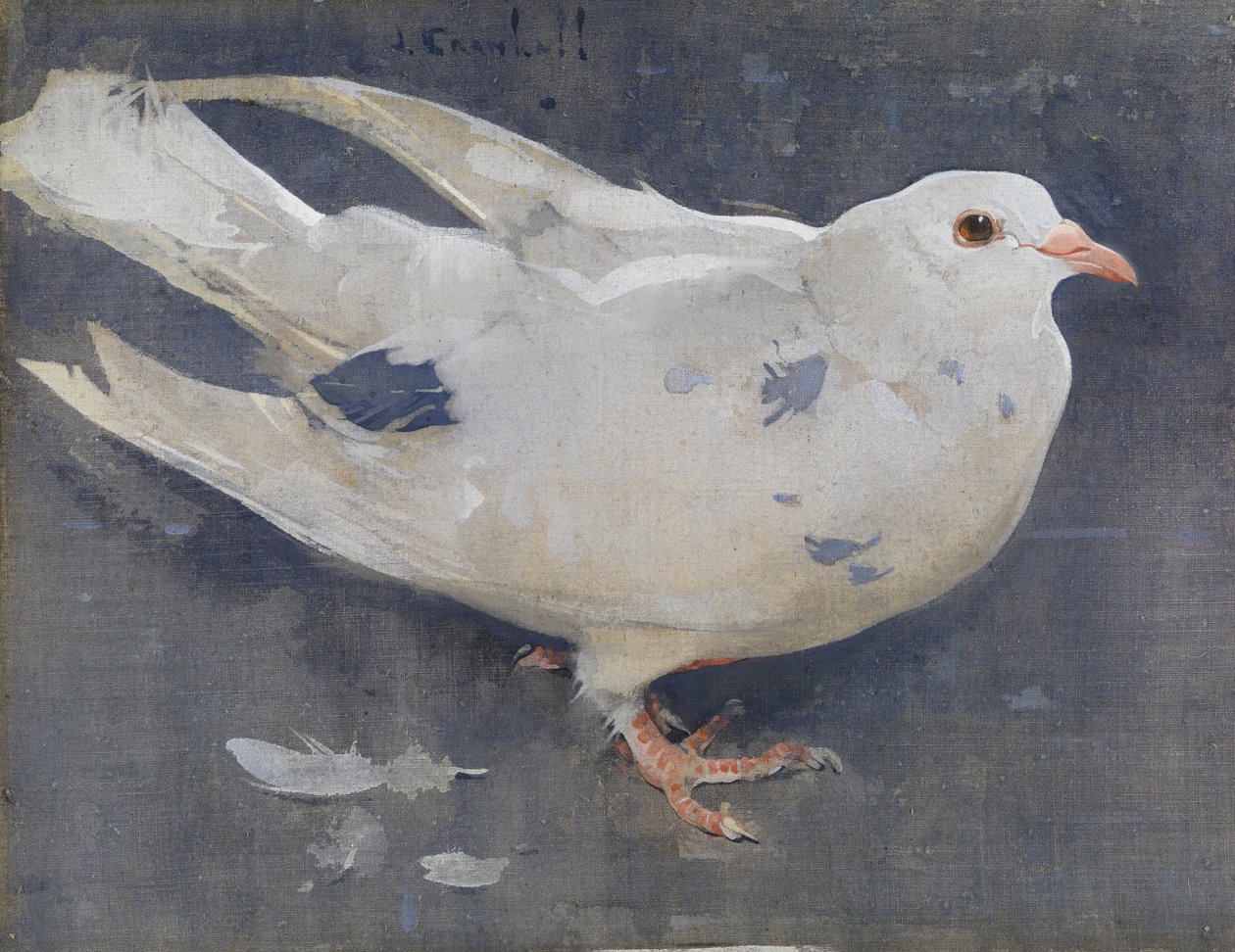 Kyyhkynen (guassi pellavalle) tekijältä Joseph Crawhall