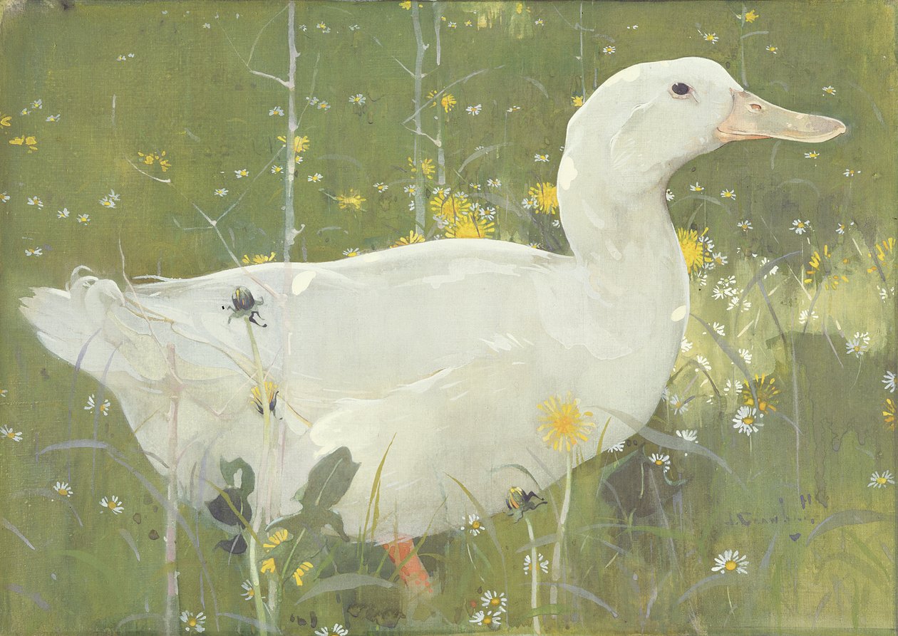 The White Drake (guassi kankaalle) tekijältä Joseph Crawhall