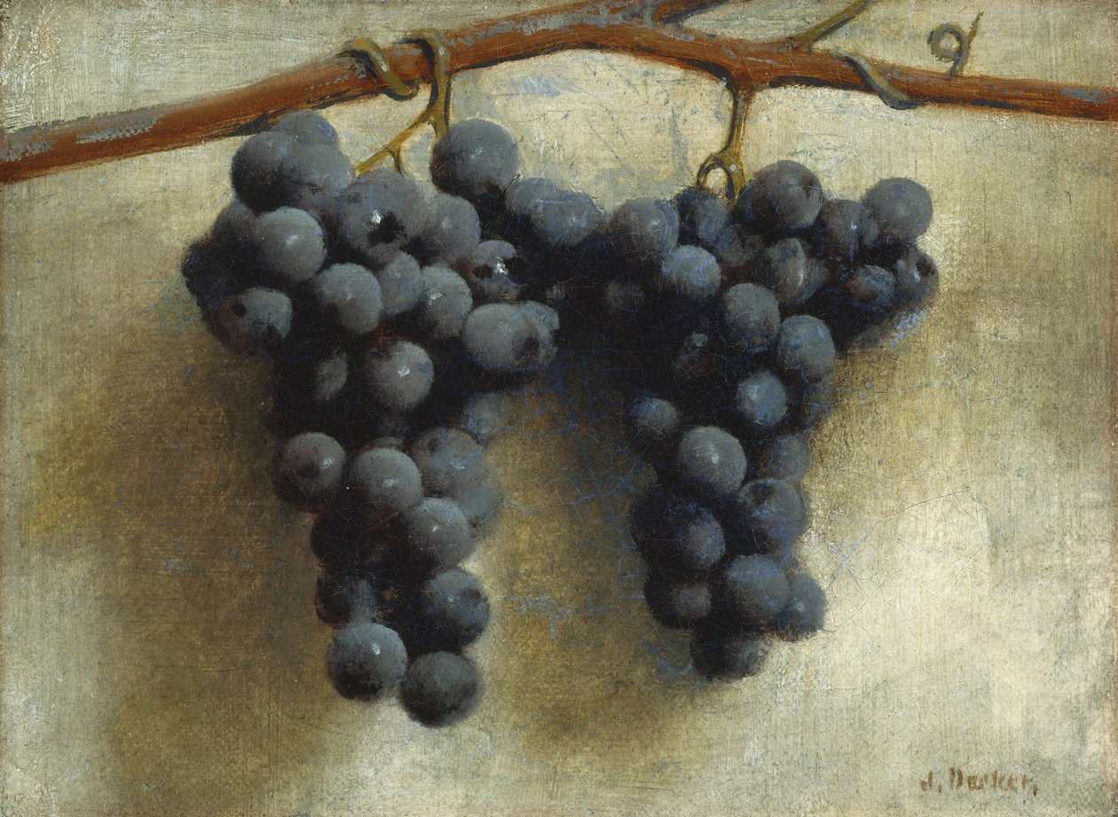 Viinirypäleitä, noin 1890-1895 (öljy kankaalle). tekijältä Joseph Decker