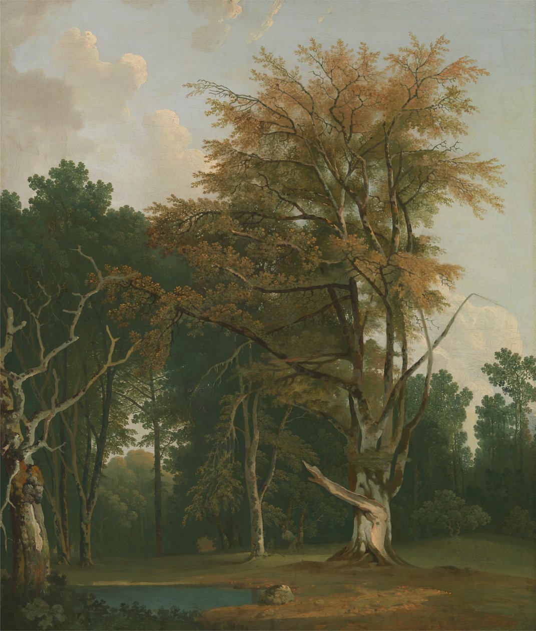 Árvores em um bosque Gladefinnish tekijältä Joseph Farington
