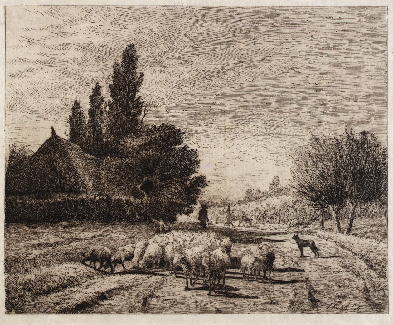 Village Street Ranskassa tekijältä Joseph Foxcroft Cole