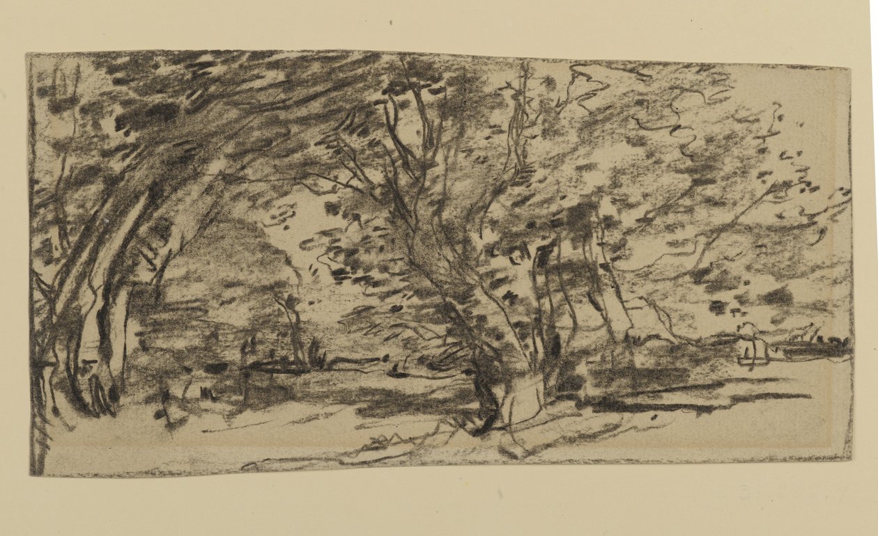 Study of Trees, 1870 (grafiitti paperille) tekijältä Joseph Frank Currier