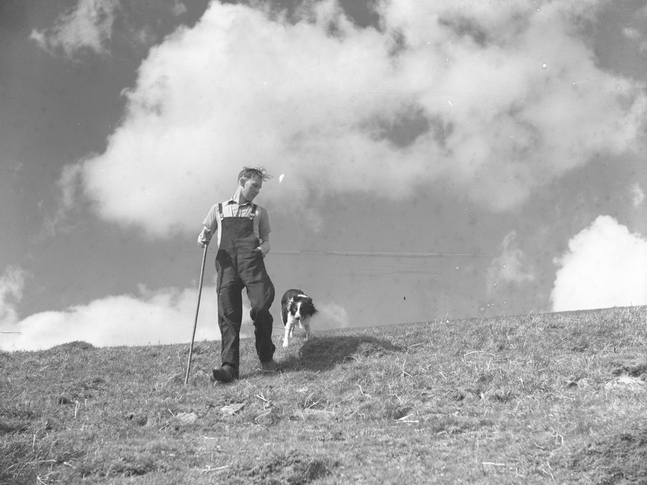 Paimen ja hänen lammaskoiransa kävelyllä Martindalessa tekijältä Joseph Hardman