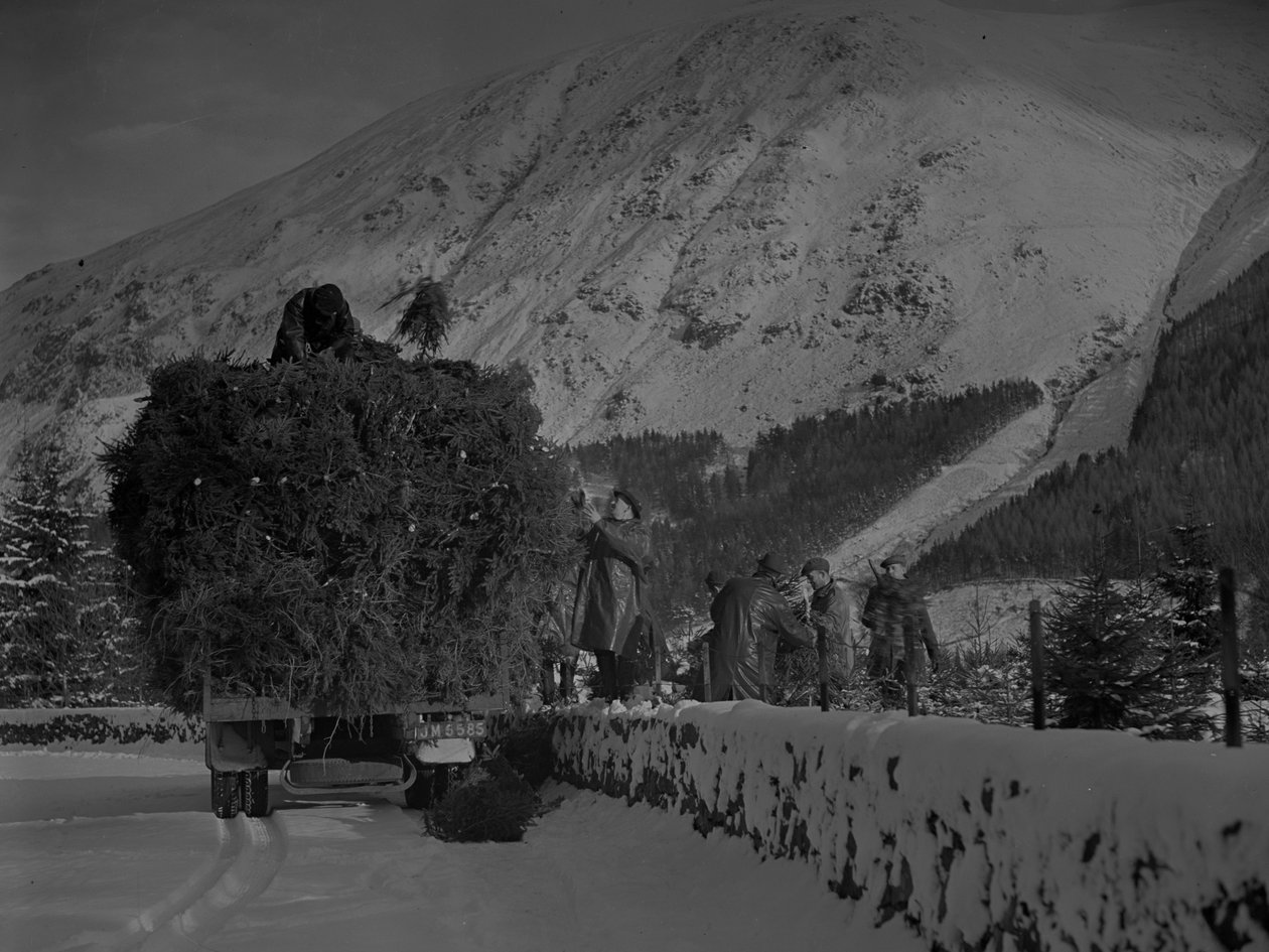 Joulukuusia täynnä oleva kuorma-auto kulkee lumisella tiellä. tekijältä Joseph Hardman