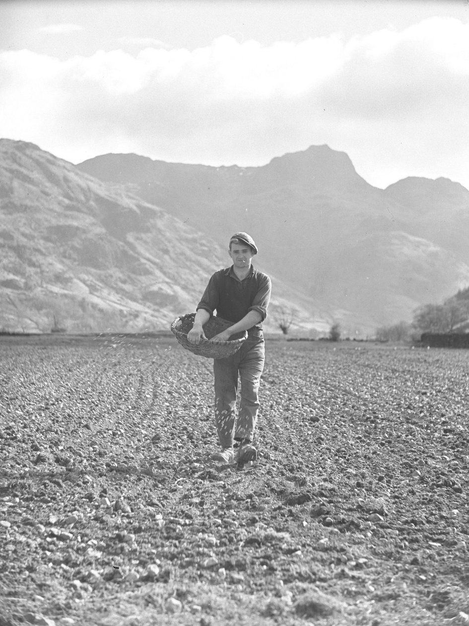 Mies kylvää siemeniä jätekorista ja takana on Langdales. tekijältä Joseph Hardman