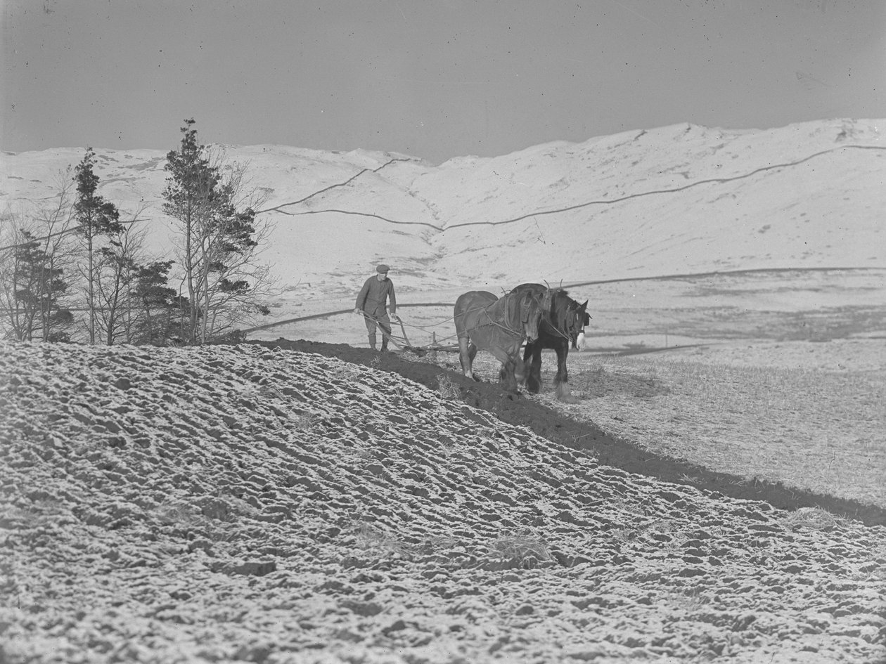 Kaksi hevosta kyntää Lune Valley -laaksossa. tekijältä Joseph Hardman