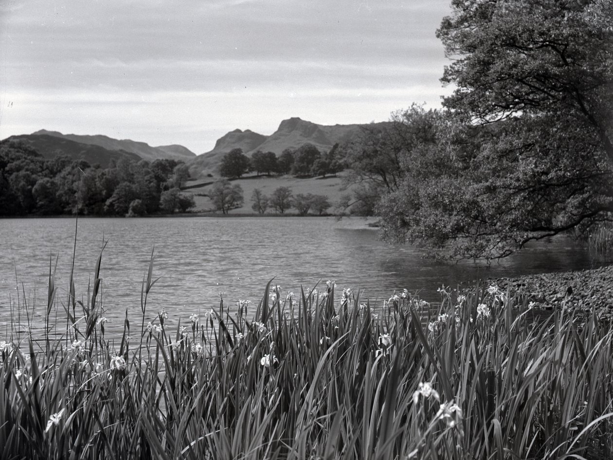 Näkymä Loughrigg Tarnin poikki tekijältä Joseph Hardman