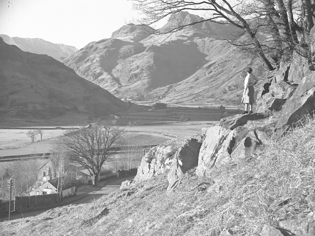 Nainen seisoo kivillä puun alla katsellen näkymää Langdale Fellsille. tekijältä Joseph Hardman
