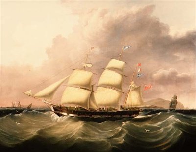 Barque 
