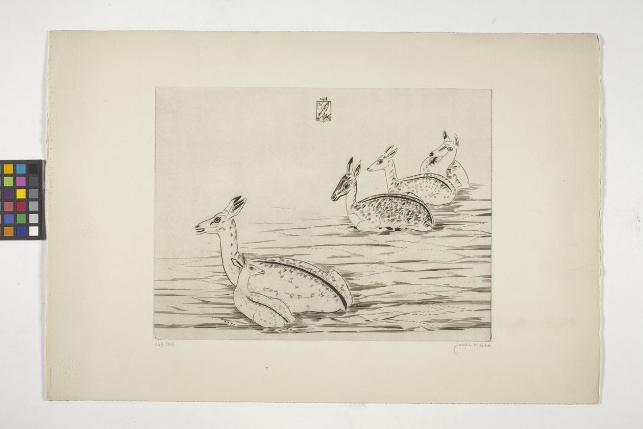 CERFS Indochinois I (veado Indochinese I) (gravação em papel de creme) finlandês tekijältä Joseph Hecht