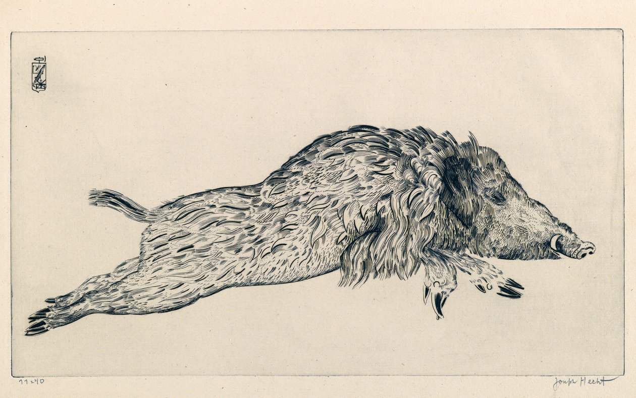 Villisika (Le Sanglier) (kaiverrus) tekijältä Joseph Hecht