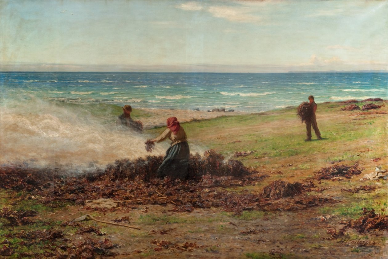 Kelp Burning (öljy kankaalle) tekijältä Joseph Henderson