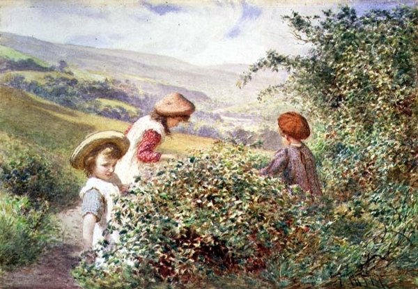 Blackberry Pickers tekijältä Joseph Kirkpatrick