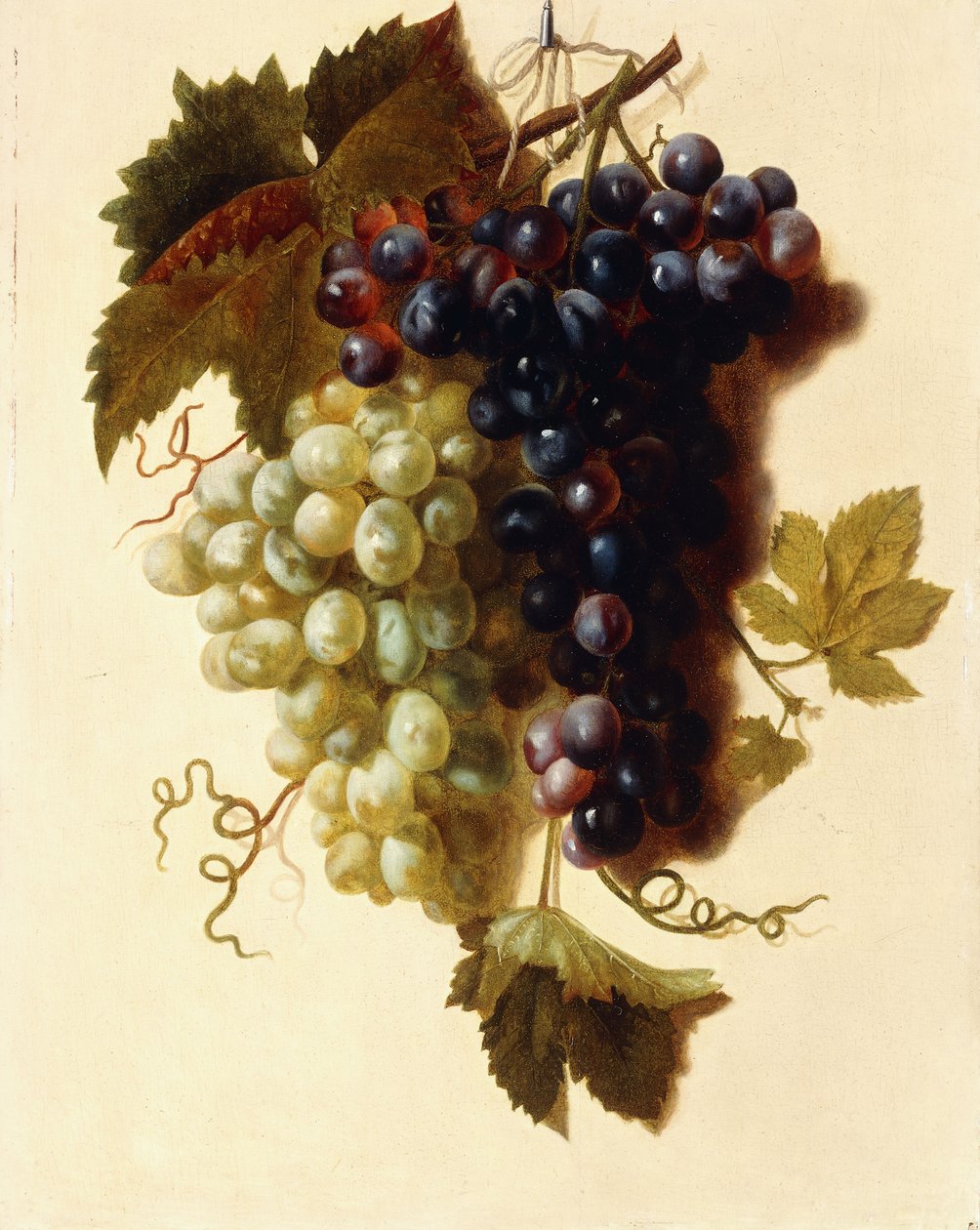 Vihreitä ja punaisia rypäleterttuja ripustettuna köyteen, n. 1796 tekijältä Joseph Laurent Malaine