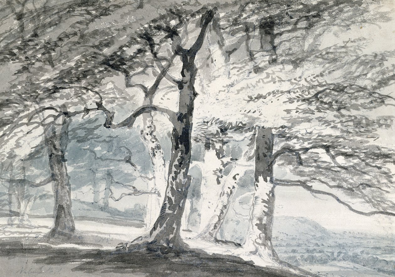 Norbury Park, Surrey (kynä ja akvarelli paperille) tekijältä Joseph Mallord William (attr.to) Turner