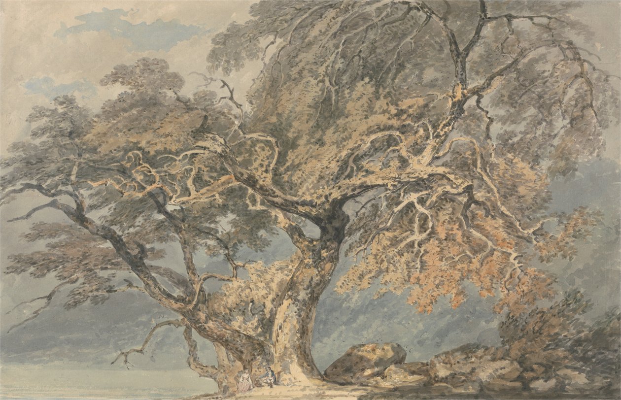Suuri puu tekijältä Joseph Mallord William Turner