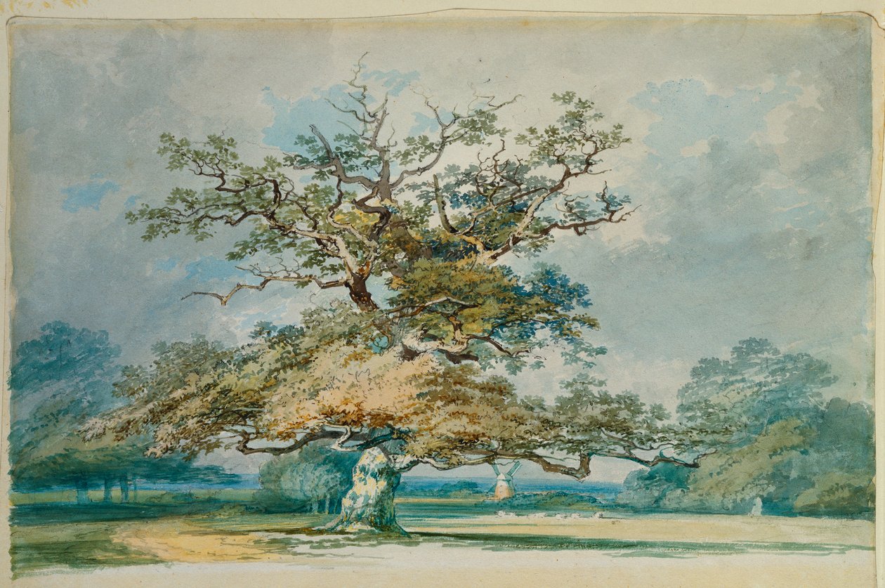 Maisema, jossa on vanha tammi tekijältä Joseph Mallord William Turner