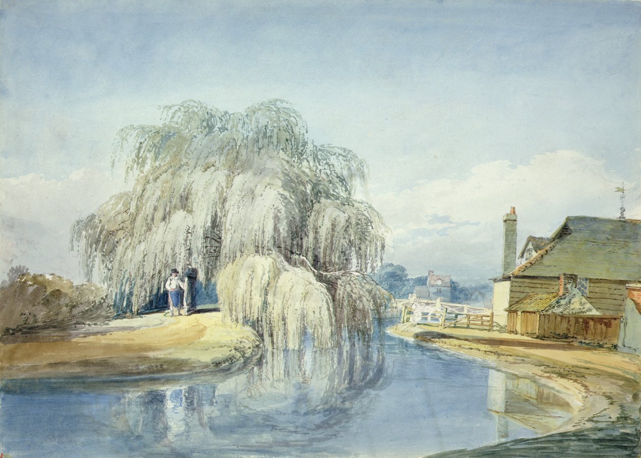 Itkevä paju (akvarelli paperille) tekijältä Joseph Mallord William Turner