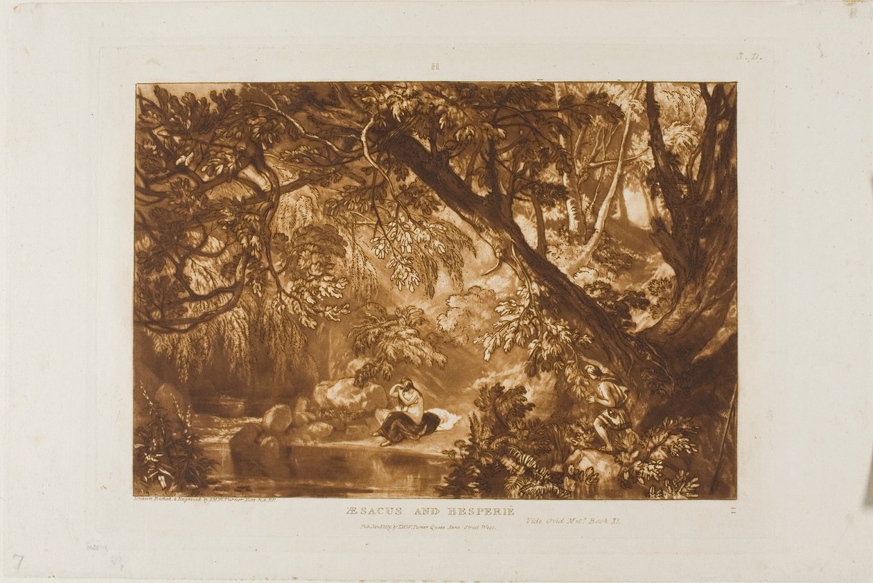 Aesacus ja Hesperia, levy 66 Book of Studiesista tekijältä Joseph Mallord William Turner