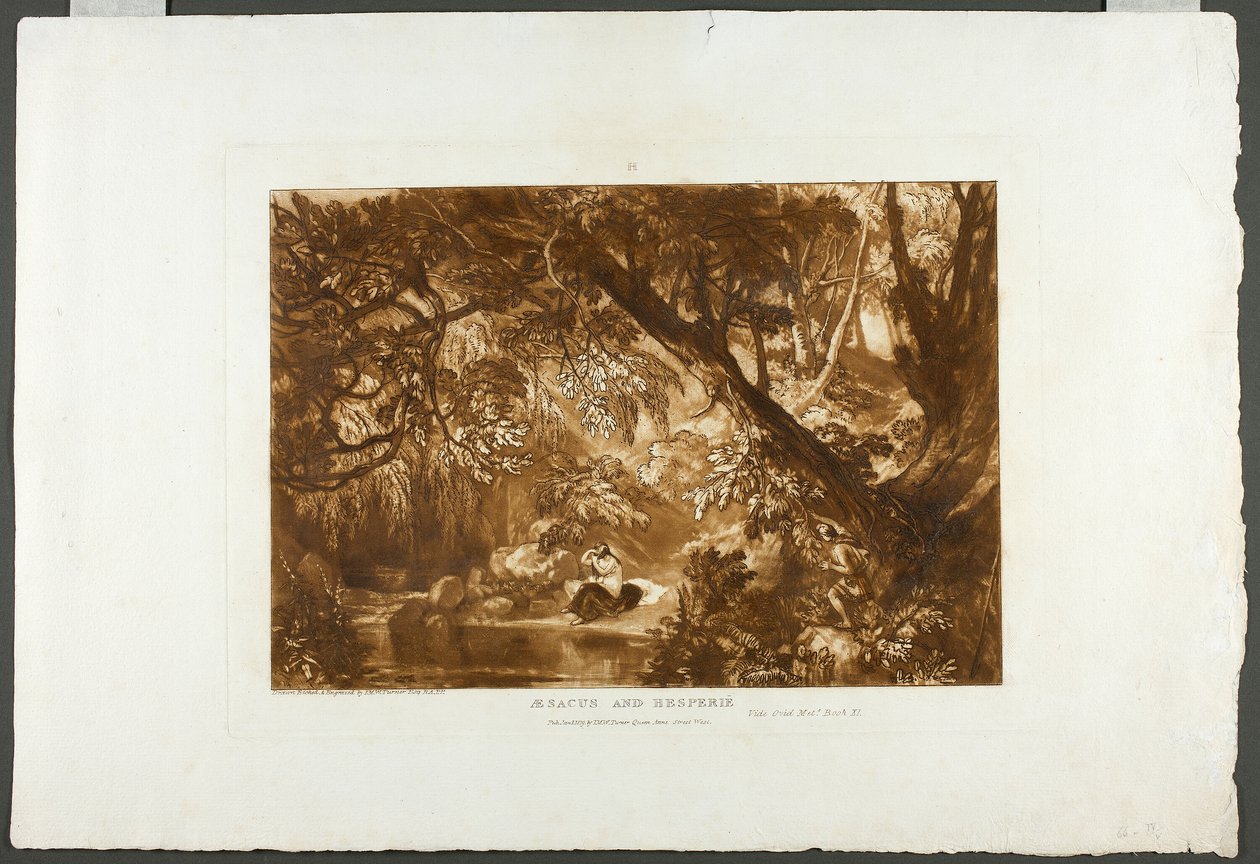 Aesacus ja Hesperia, levy 66 Book of Studiesista tekijältä Joseph Mallord William Turner
