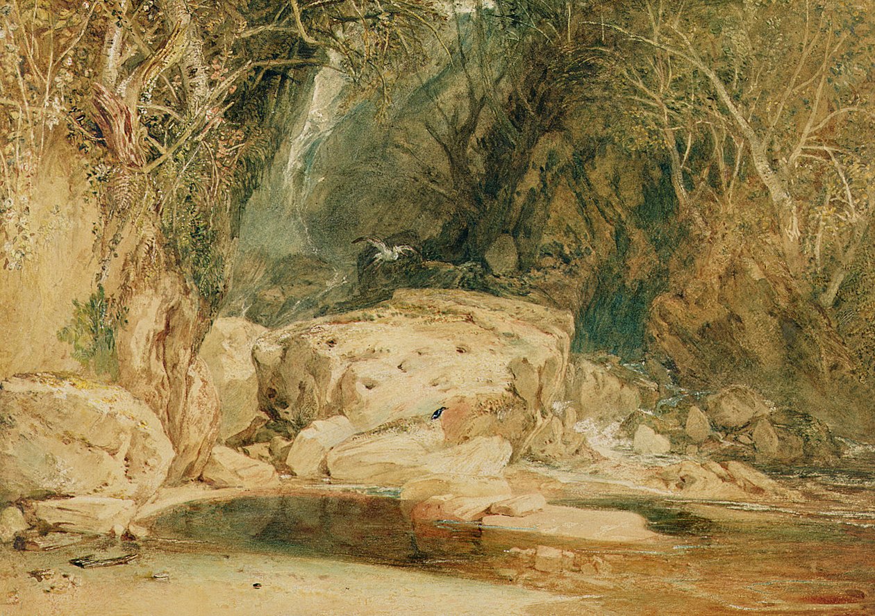 Lonely Dell, Wharfedale, n. 1818 (akvarelli paperille) tekijältä Joseph Mallord William Turner