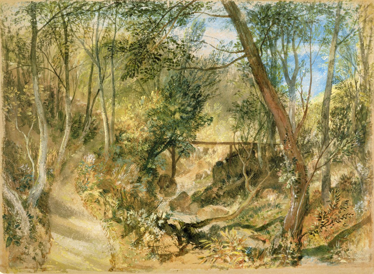 PD.50-1958 The Woodwalk, Farnley Hall, n. 1818 (wc ja guassi) tekijältä Joseph Mallord William Turner