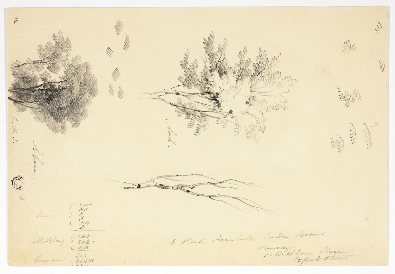 Luonnoksia jalavista ja saarnista tekijältä Joseph Mallord William Turner