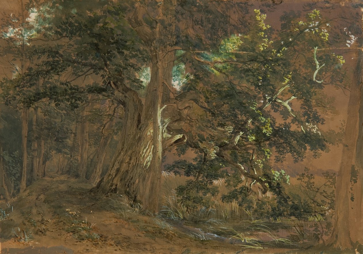 Metsän sisustus lähellä Lundenburgia (vaahteraryhmä vuoristojärven rannalla) tekijältä Joseph Martin Höger