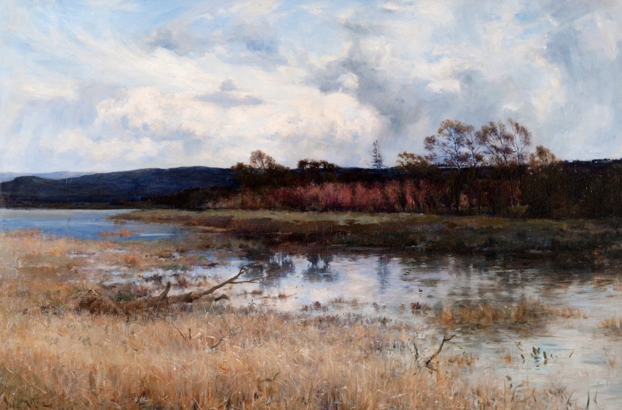 Tay Backwater, Kinfauns, Perthshire finlandès tekijältä Joseph Milne