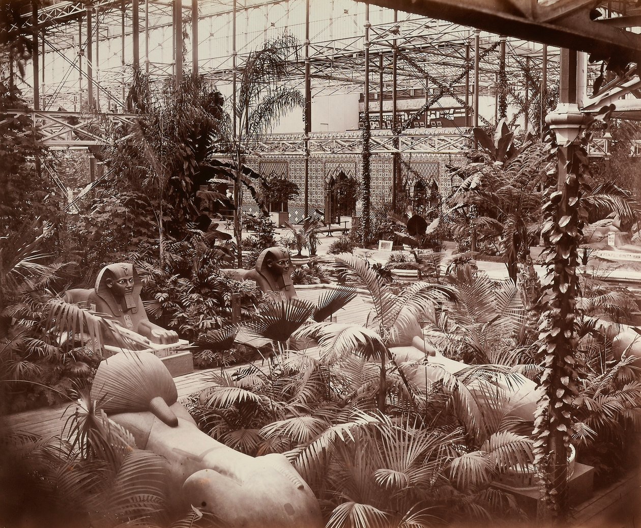 Crystal Palace Lontoossa: trooppinen osa, n. 1870 (b/w kuva) tekijältä Joseph Paxton