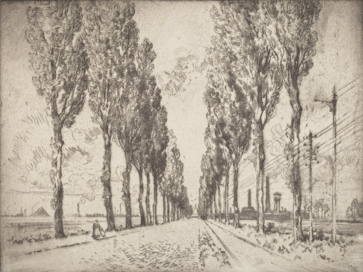 Avenue, Valenciennes, 1910. tekijältä Joseph Pennell