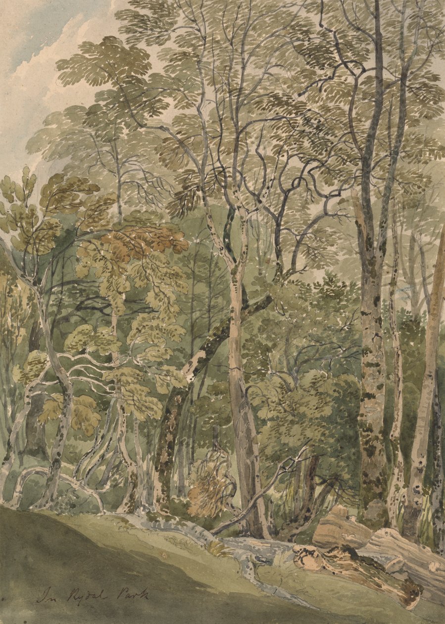 Rydal Parkissa tekijältä Joseph Powell