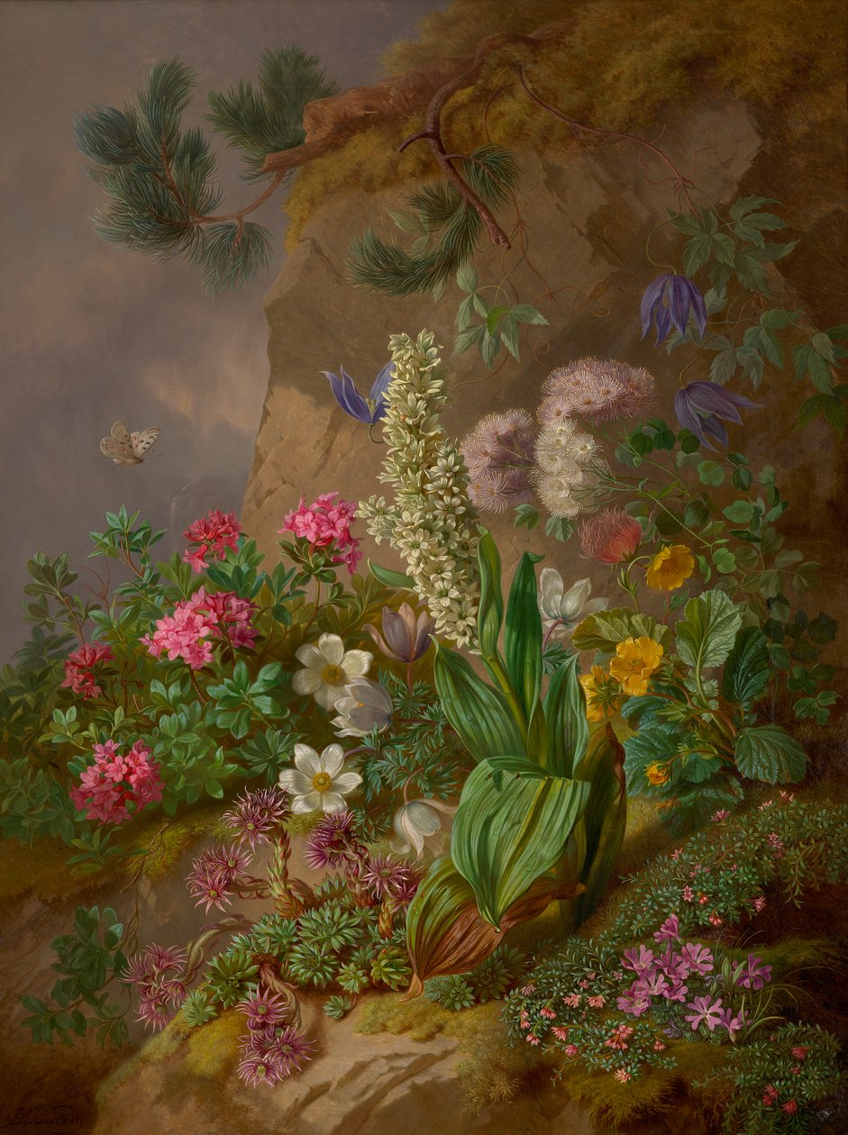 Alpenblumen tekijältä Joseph Schuster