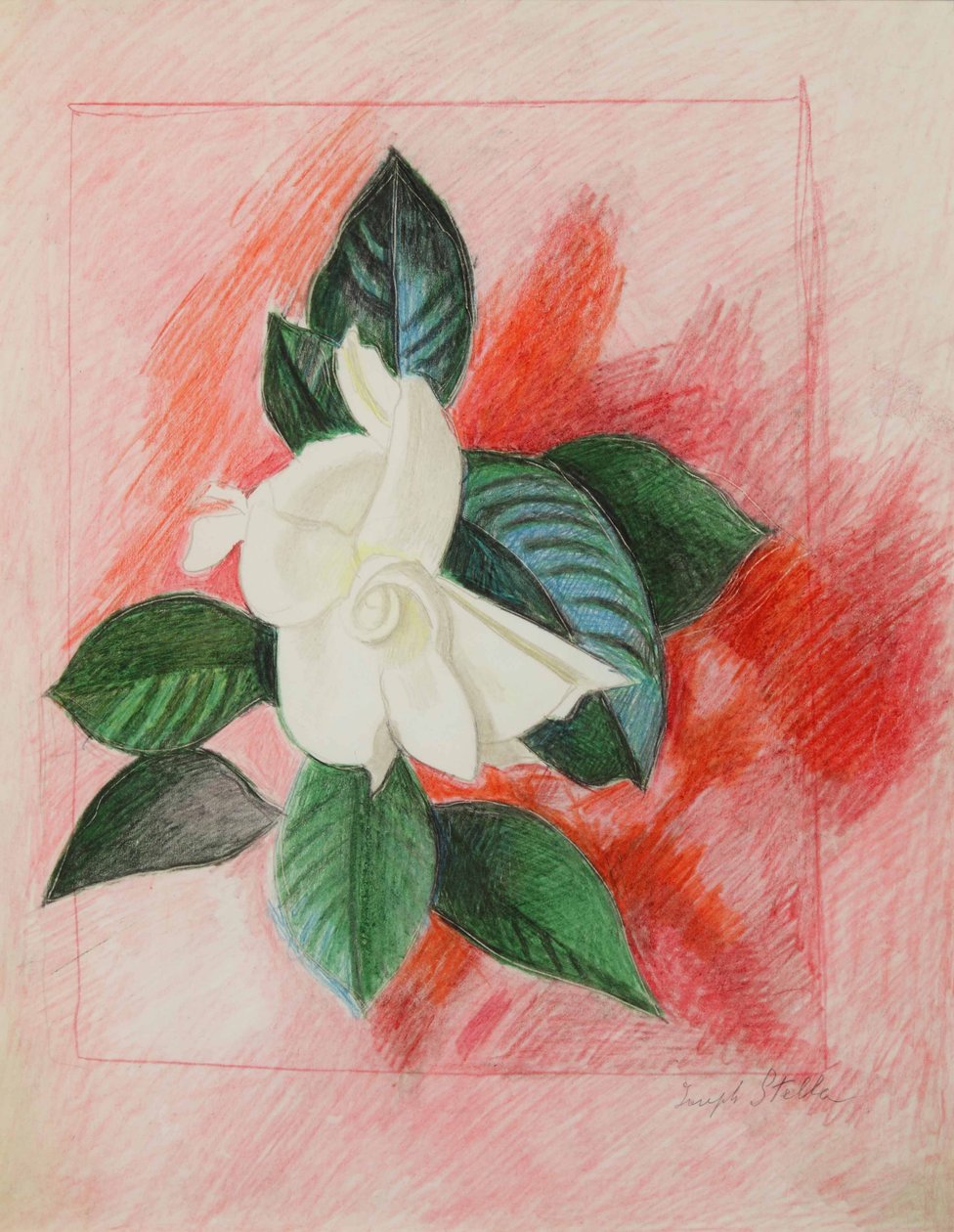 Gardenia, noin 1940 (värikynä ja grafiitti paperille). tekijältä Joseph Stella