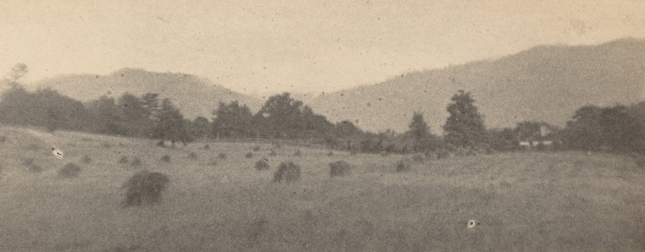 Maisema, jossa on puita ja vuoria,c. 1900 (kuva) tekijältä Joseph T. Keiley