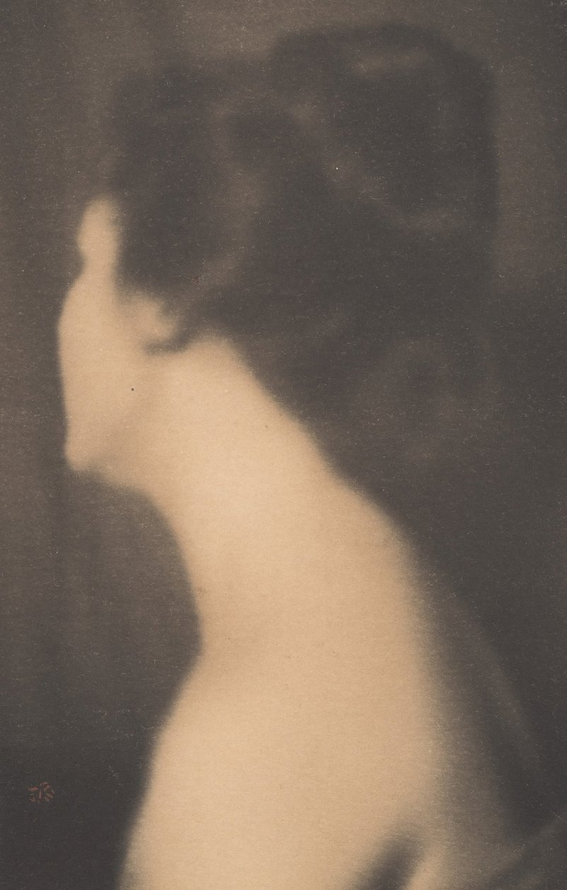 The Averted Head - A Study in Flesh Tones, 1899. finlandès tekijältä Joseph Turner Keiley