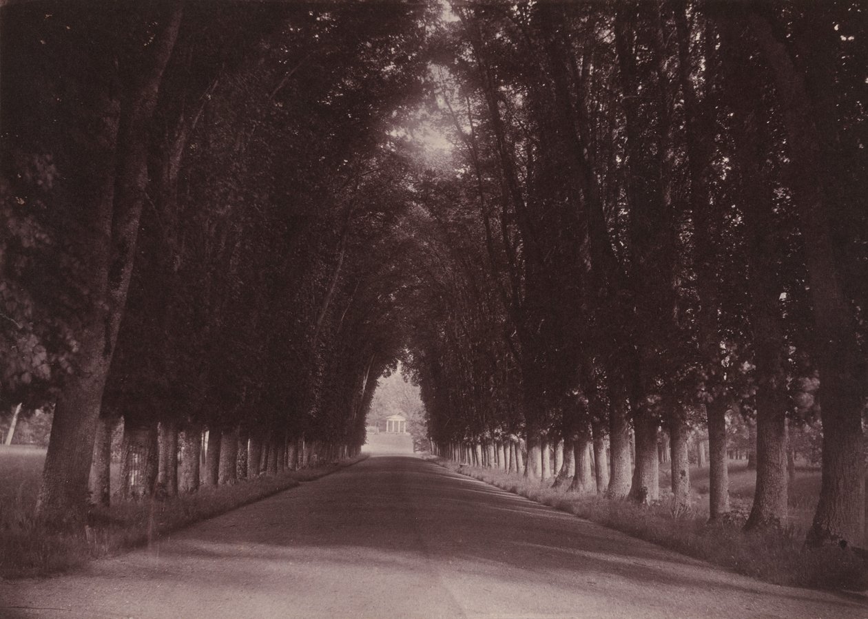 Pihatie, Château de Grand-Vaux, Savigny-sur-Orge, Vigierin perheen koti, noin 1855 (kuva). tekijältä Joseph Vigier