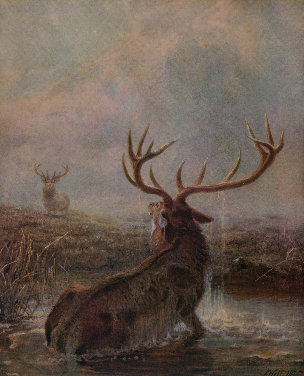 Keskeytetty, 1875, 1938 tekijältä Joseph Wolf