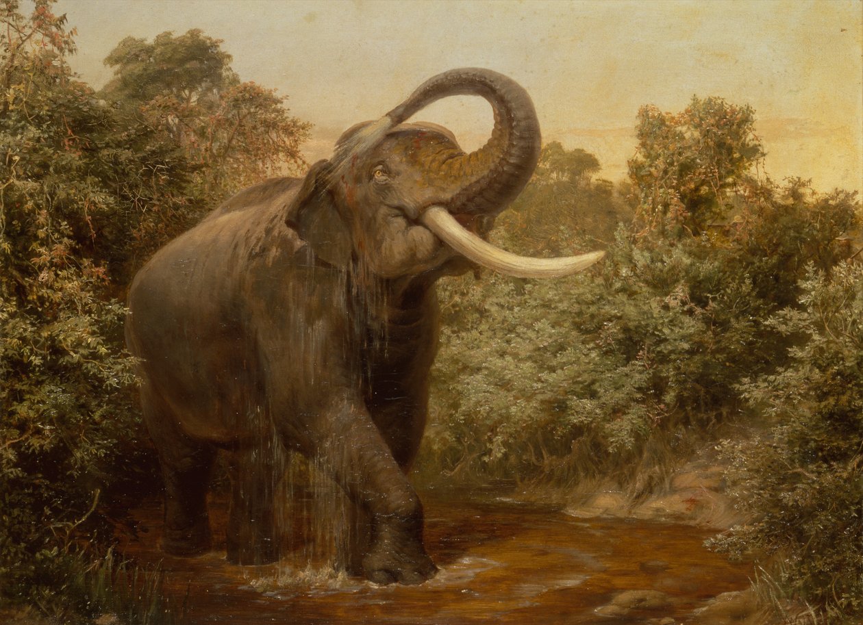 The Monster Tusker (öljy kankaalle) tekijältä Joseph Wolf