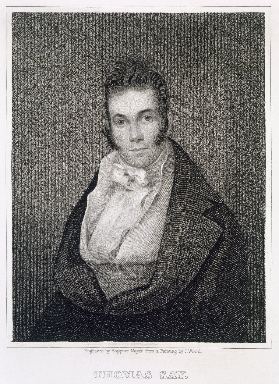 Thomas Say (1787-1834), kaiverrus Henry Hoppner Meyer (1787-1847) tekijältä Joseph Wood