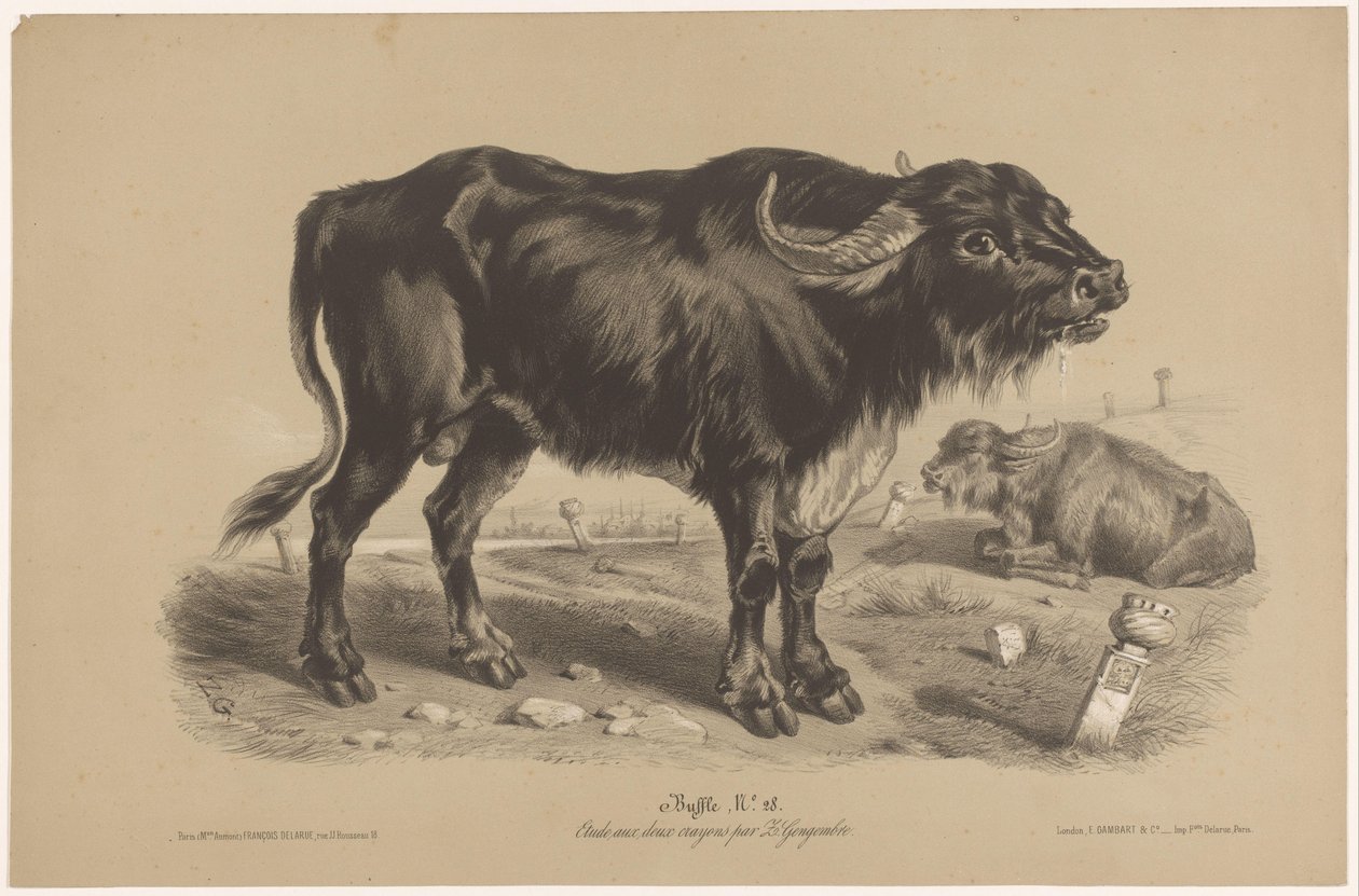 Buffalo Buffalo (otsikko esineessä) Dierenstudies in twee soorten krijt (sarjan nimi) Z. Gengembren tutkimus kahdella kynällä (sarjan nimi) tekijältä Joseph Zephyris Gengembre